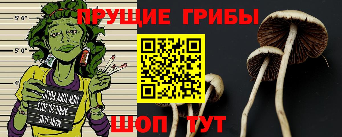 Псилоцибиновые грибы Magic Shrooms  Псилоцибиновые грибы Psilocybine cubensis  Вход с VPN  Ленинск-Кузнецкий 