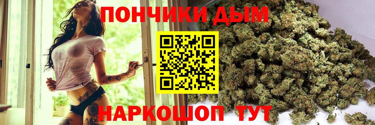 Марихуана тримм  Канабис планчик  Вход с VPN  Ленинск-Кузнецкий  Бошки марихуана планчик 
